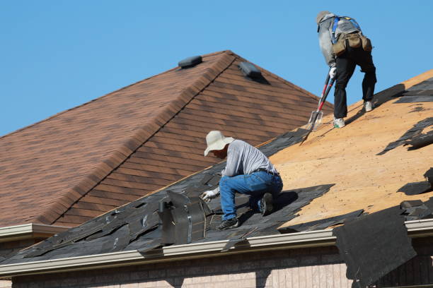 Best Roof Moss and Algae Removal  in Coopertown, TN